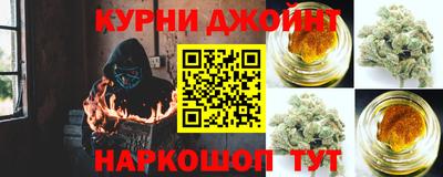 индика Обь