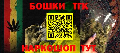 индика Обь