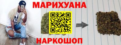 индика Обь