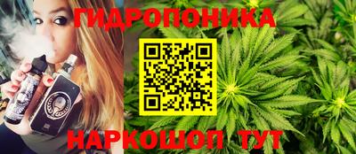 индика Обь