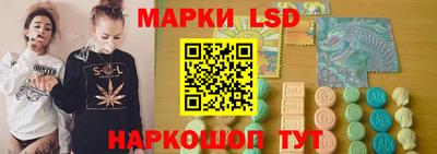 индика Обь