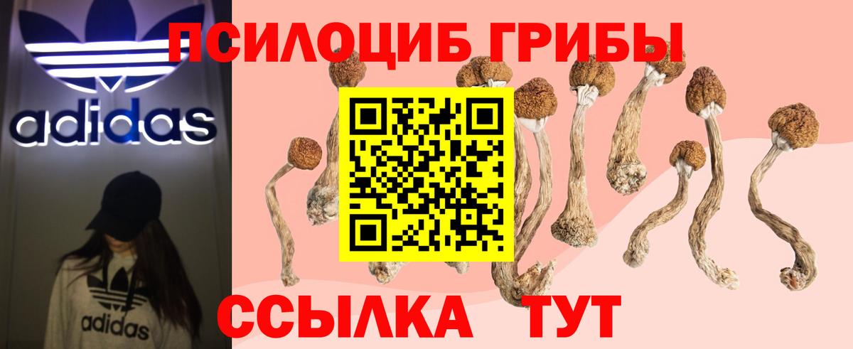 Псилоцибиновые грибы Psilocybine cubensis  Вход с VPN  Александров 